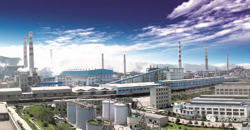 甕?；?>
            <div   id=