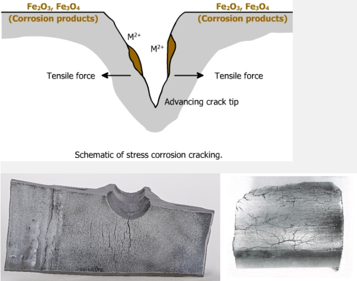 1571230442210938.png image.png